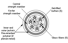 Multifiber Cable (six shown)